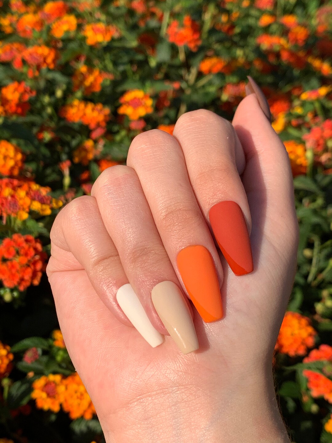 You are currently viewing Success Story: Transforming Nails With FriendlyNailsSpa’s Expert Techniques
